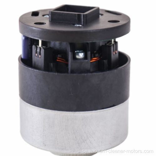 Dammsugare BLDC Motors